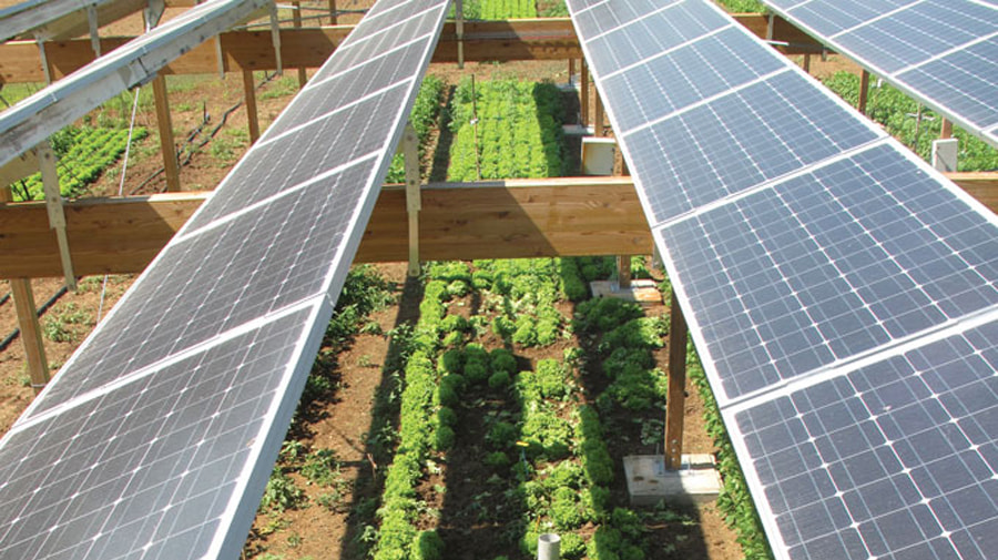 Advantages of agricultural photovoltaic power plants