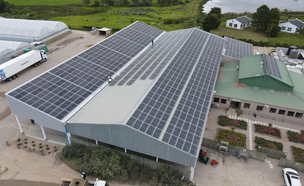 2GW, nearly 6 billion yuan! Another wave of photovoltaic projects starts construction