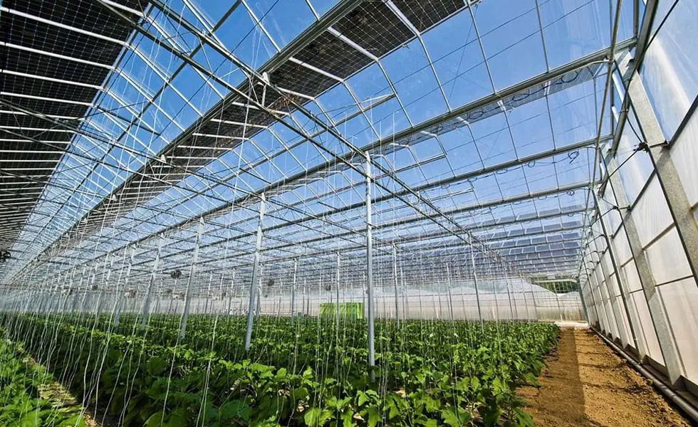 The prospect of photovoltaic + agricultural greenhouses is immeasurable!